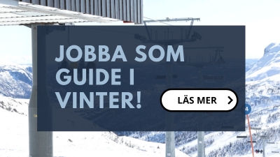 Jobba som guide